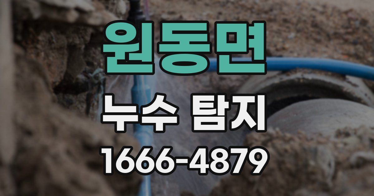 원동면 누수 탐지