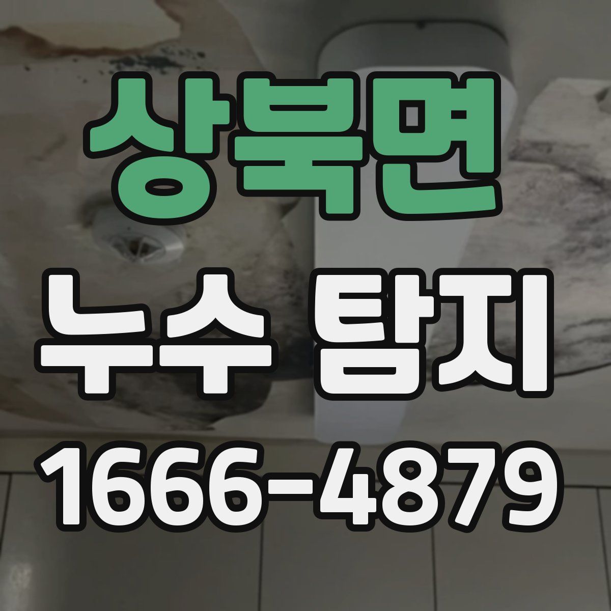 상북면 누수 탐지