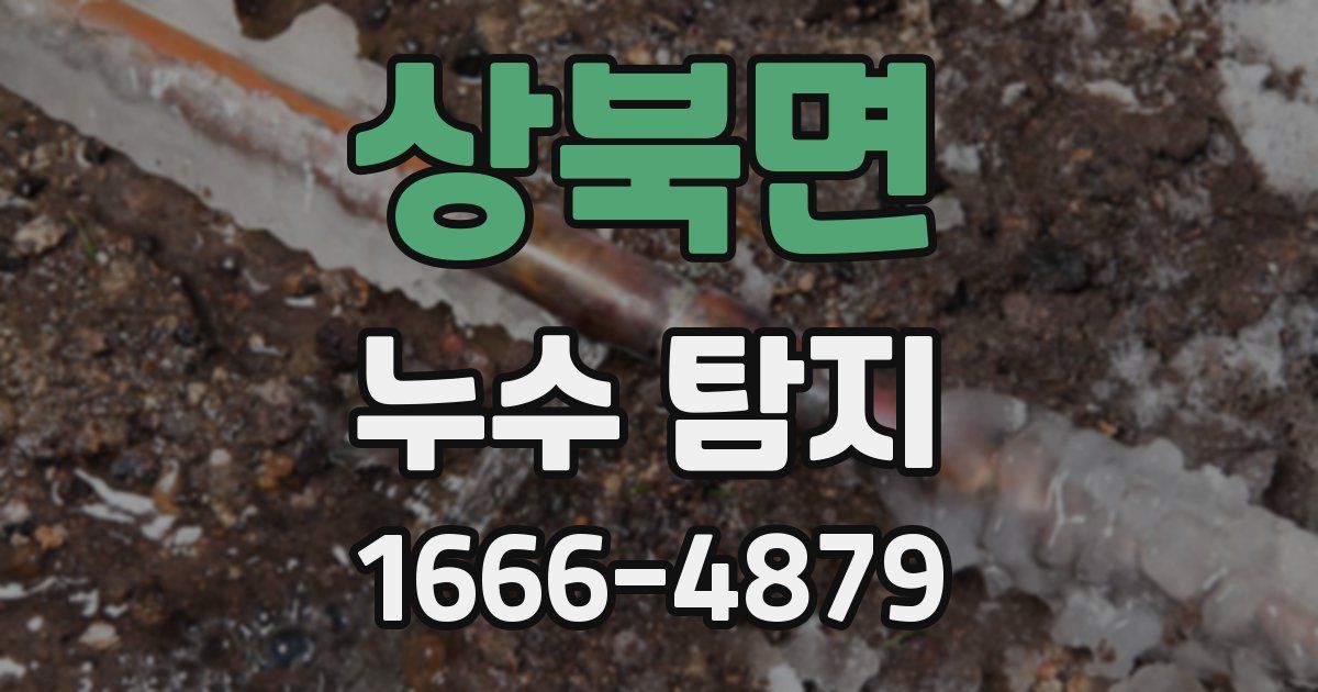 상북면 누수 탐지