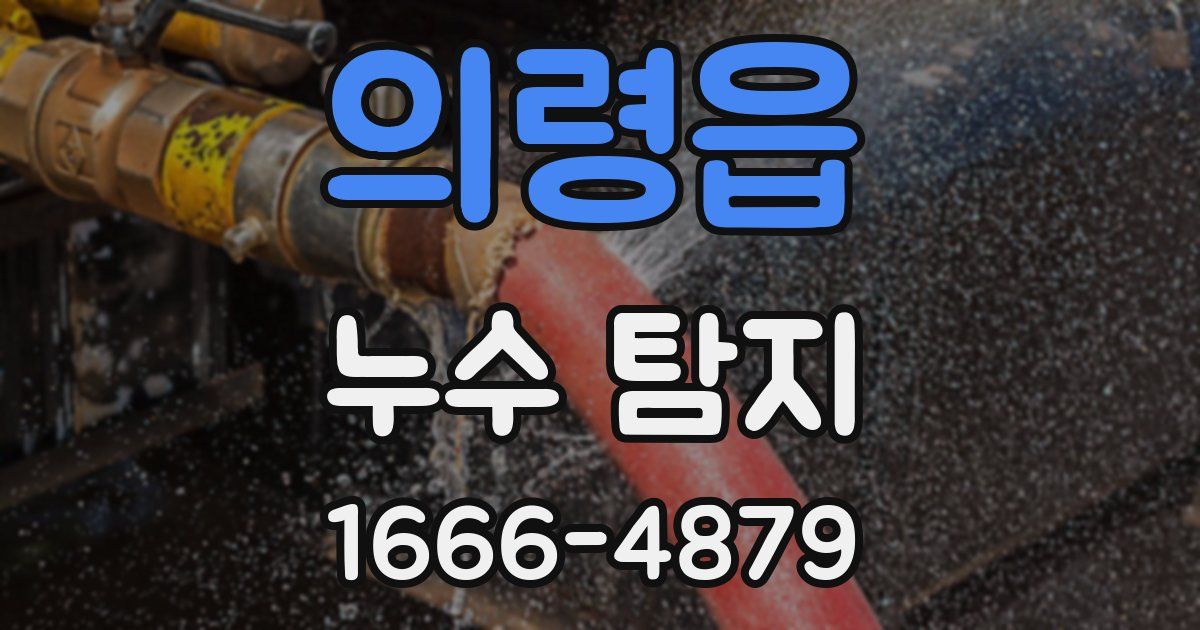 의령읍 누수 탐지