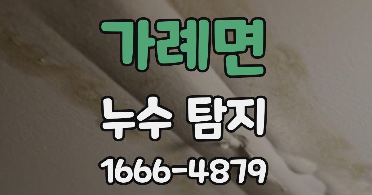 가례면 누수 탐지