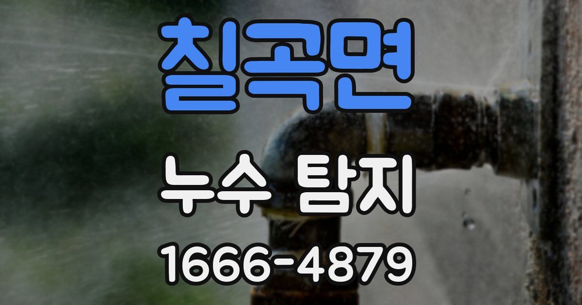 칠곡면 누수 탐지