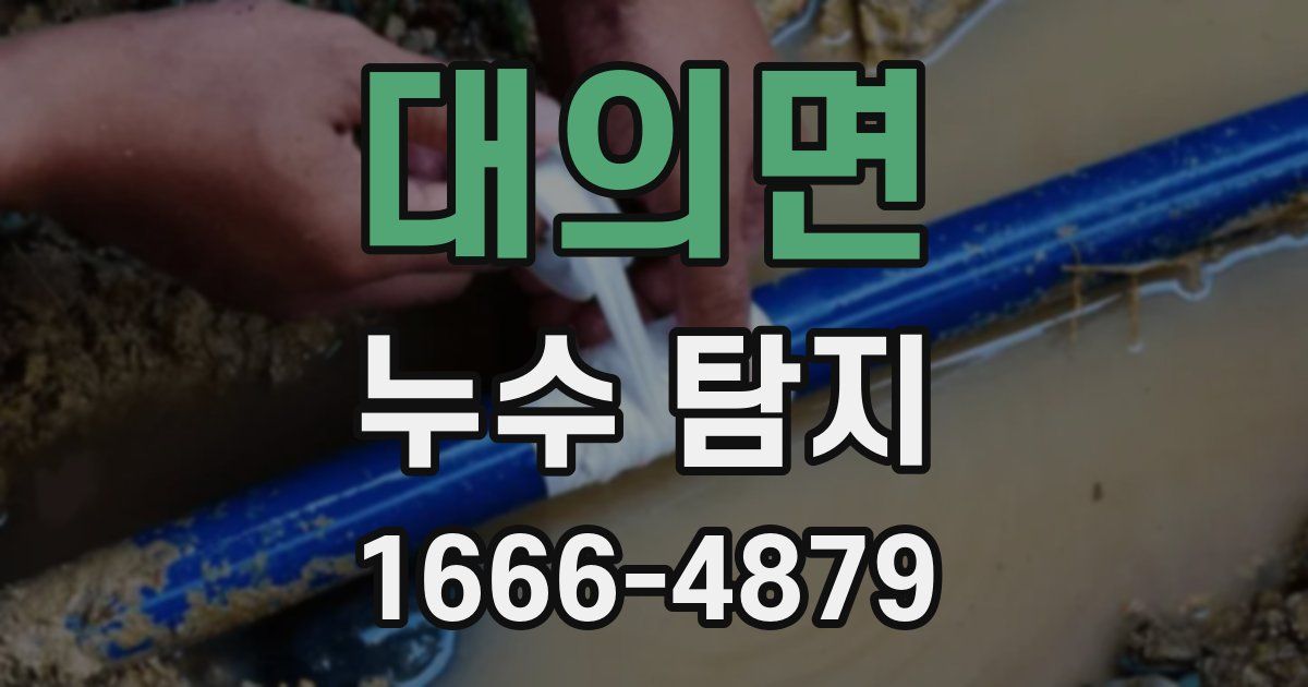 대의면 누수 탐지