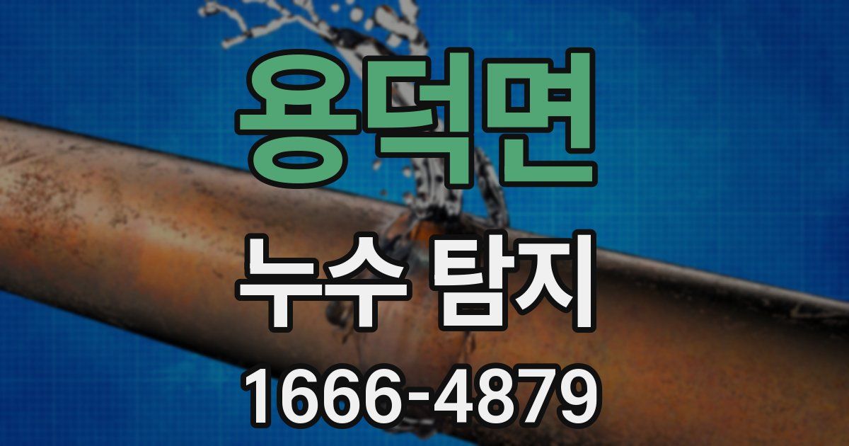 용덕면 누수 탐지
