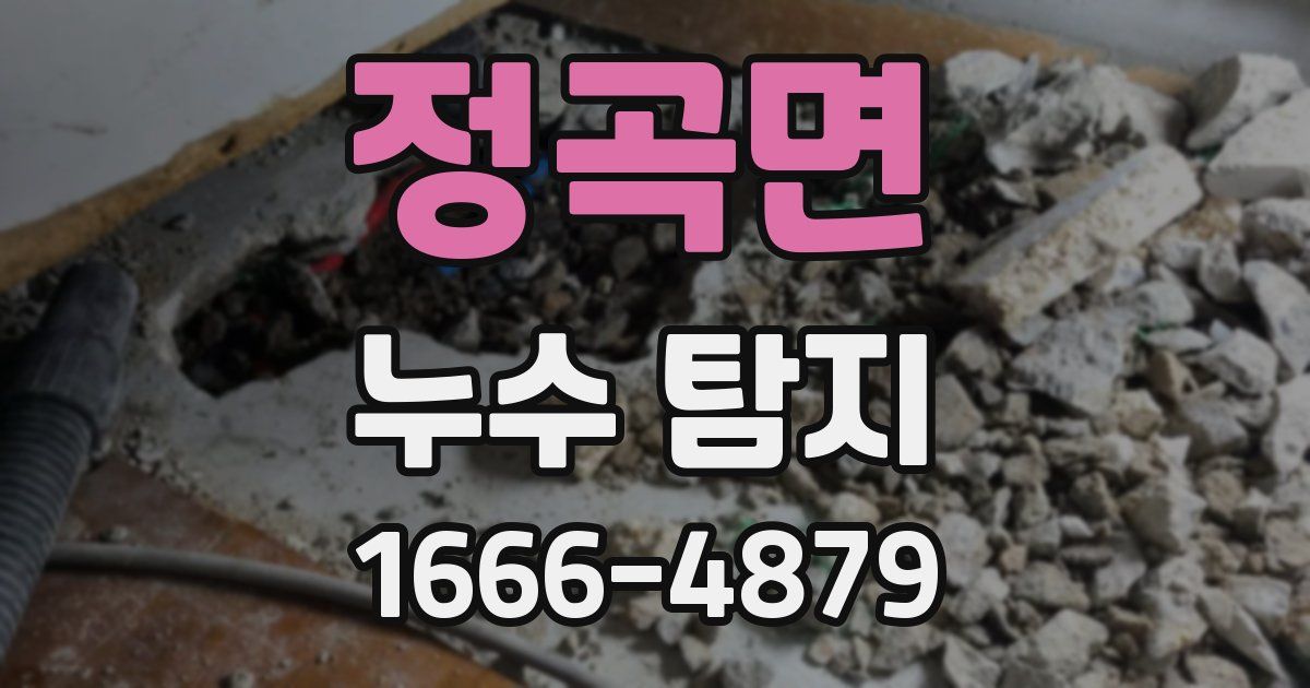 정곡면 누수 탐지
