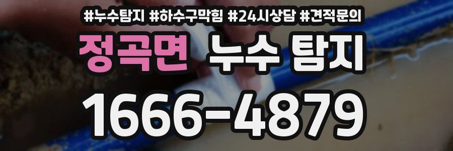 정곡면 누수 탐지