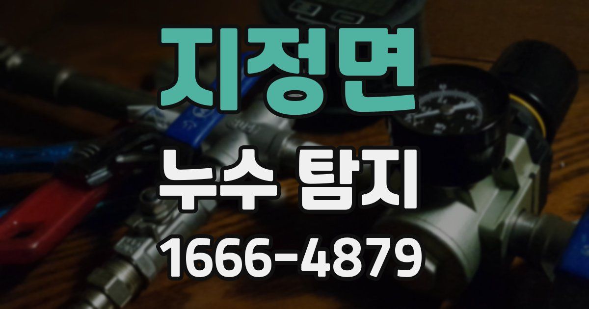 지정면 누수 탐지