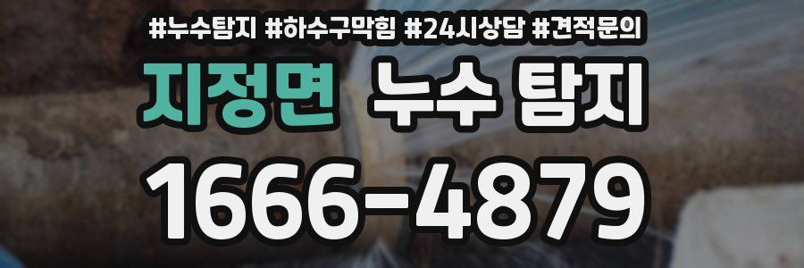 지정면 누수 탐지