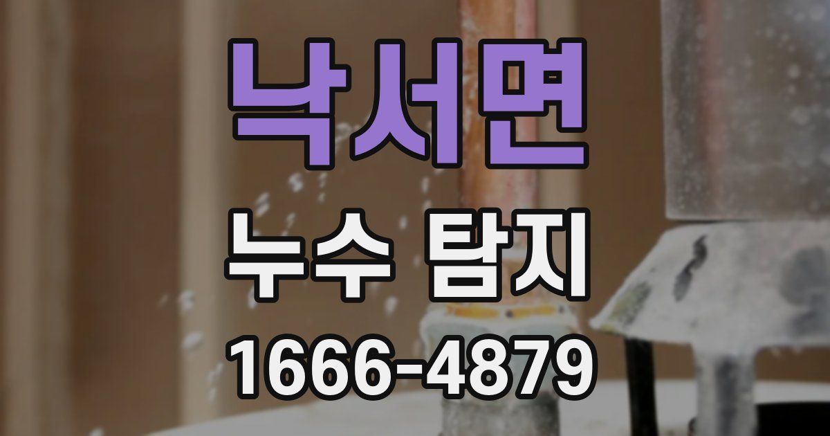 낙서면 누수 탐지