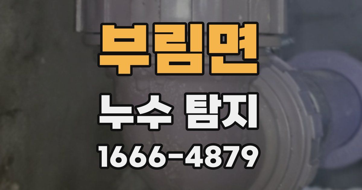 부림면 누수 탐지