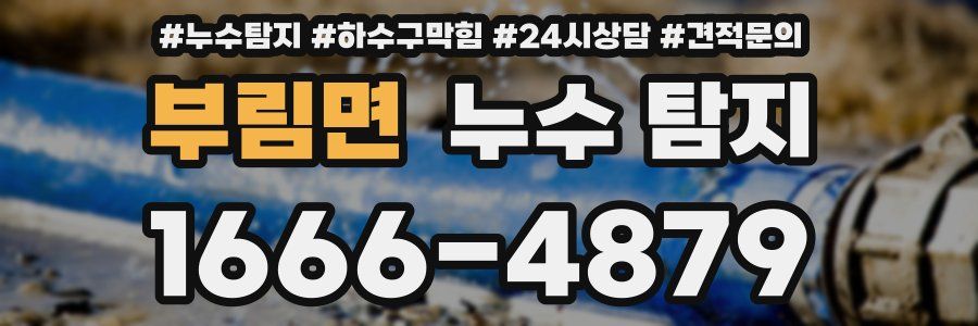 부림면 누수 탐지