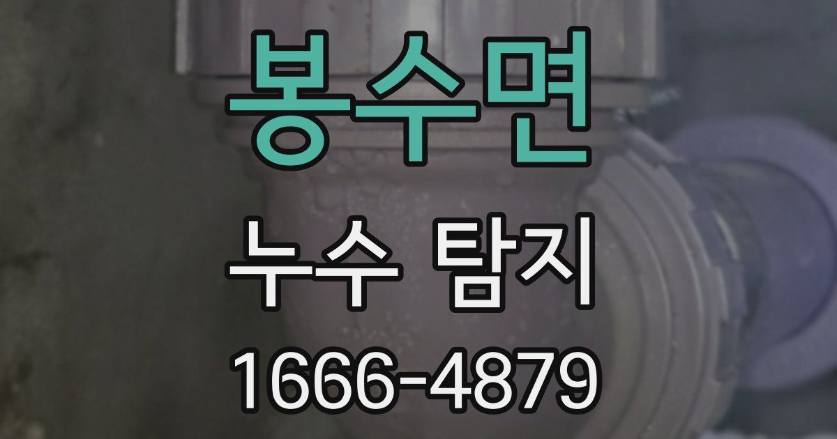 봉수면 누수 탐지
