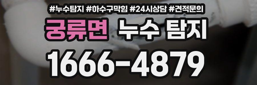 궁류면 누수 탐지
