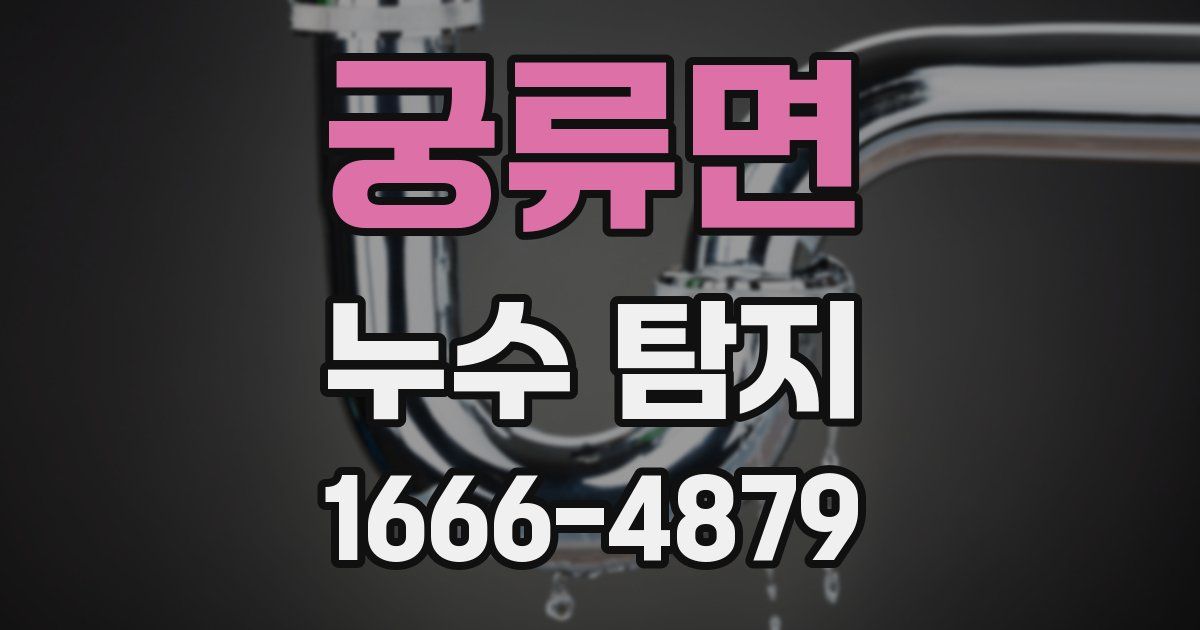 궁류면 누수 탐지