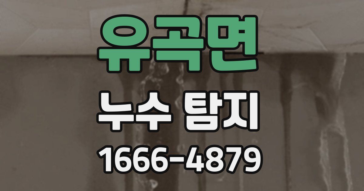 유곡면 누수 탐지
