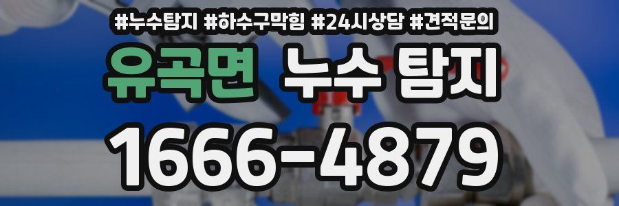 유곡면 누수 탐지