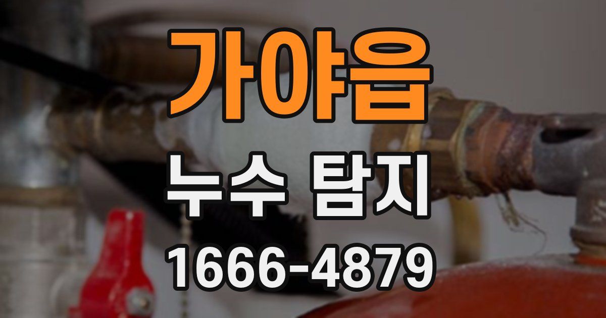 가야읍 누수 탐지