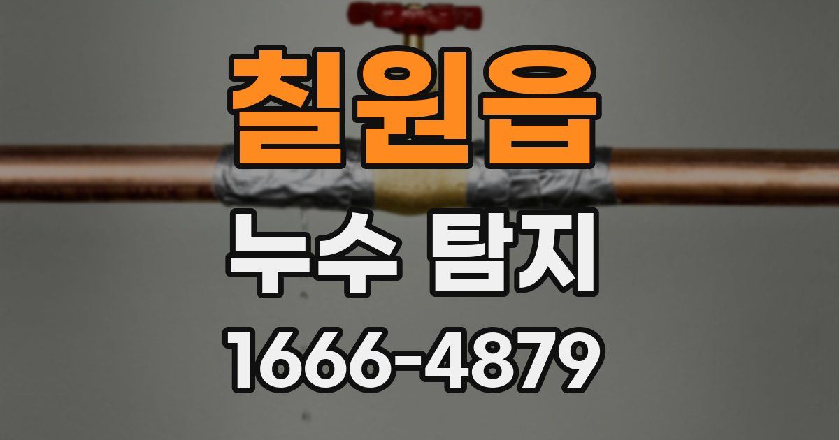 칠원읍 누수 탐지