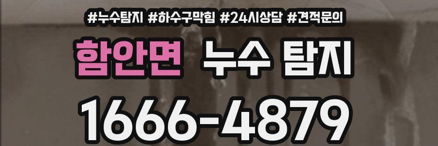 함안면 누수 탐지