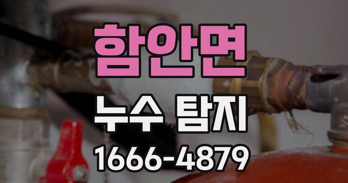함안면 누수 탐지