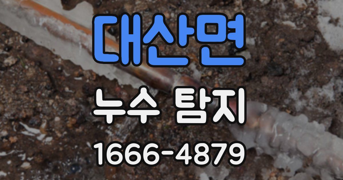 대산면 누수 탐지