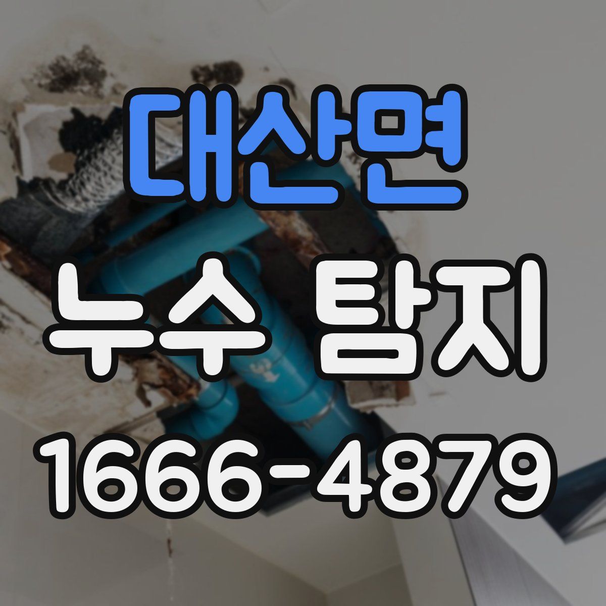 대산면 누수 탐지