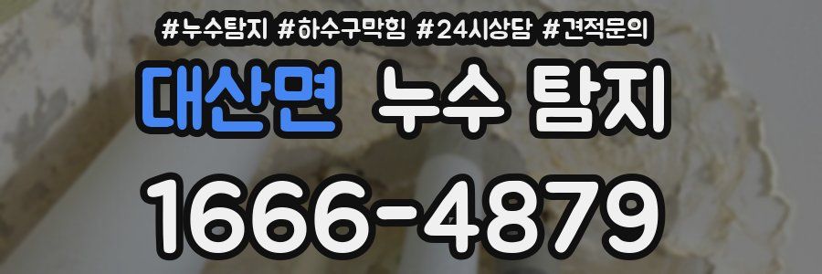 대산면 누수 탐지