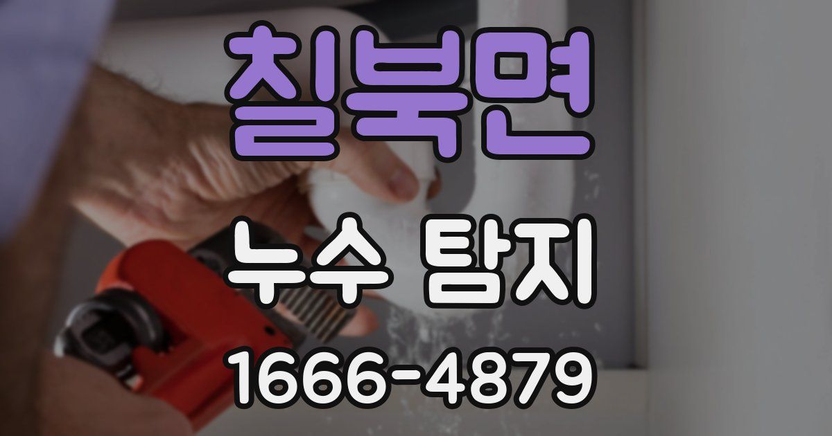 칠북면 누수 탐지