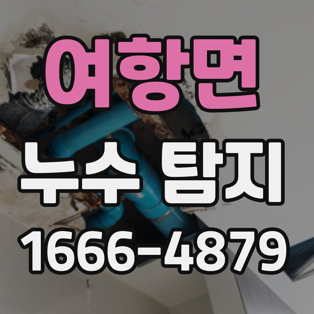 여항면 누수 탐지