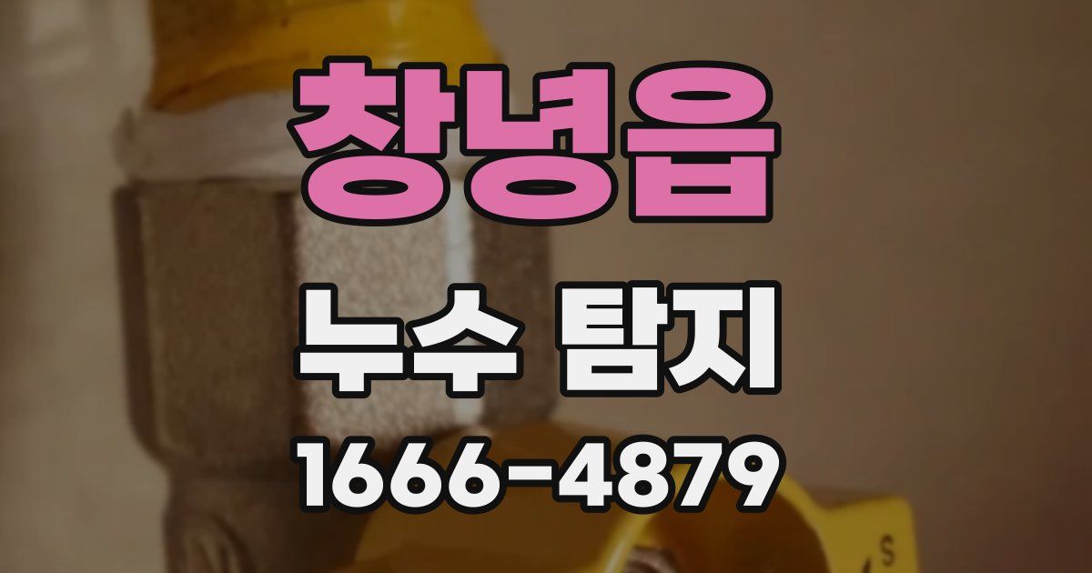 창녕읍 누수 탐지