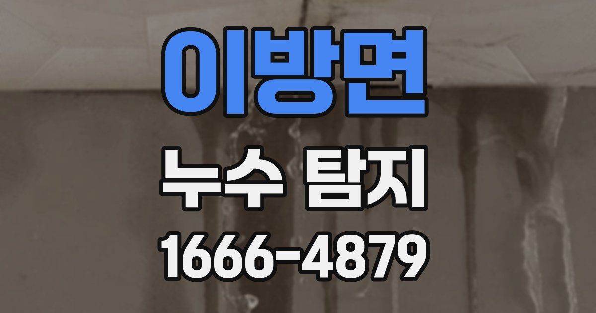 이방면 누수 탐지