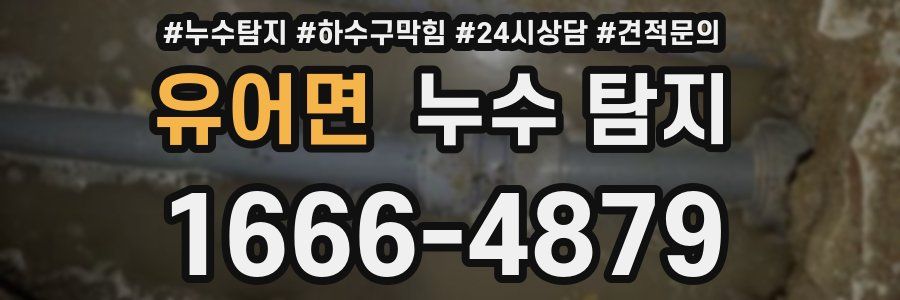 유어면 누수 탐지