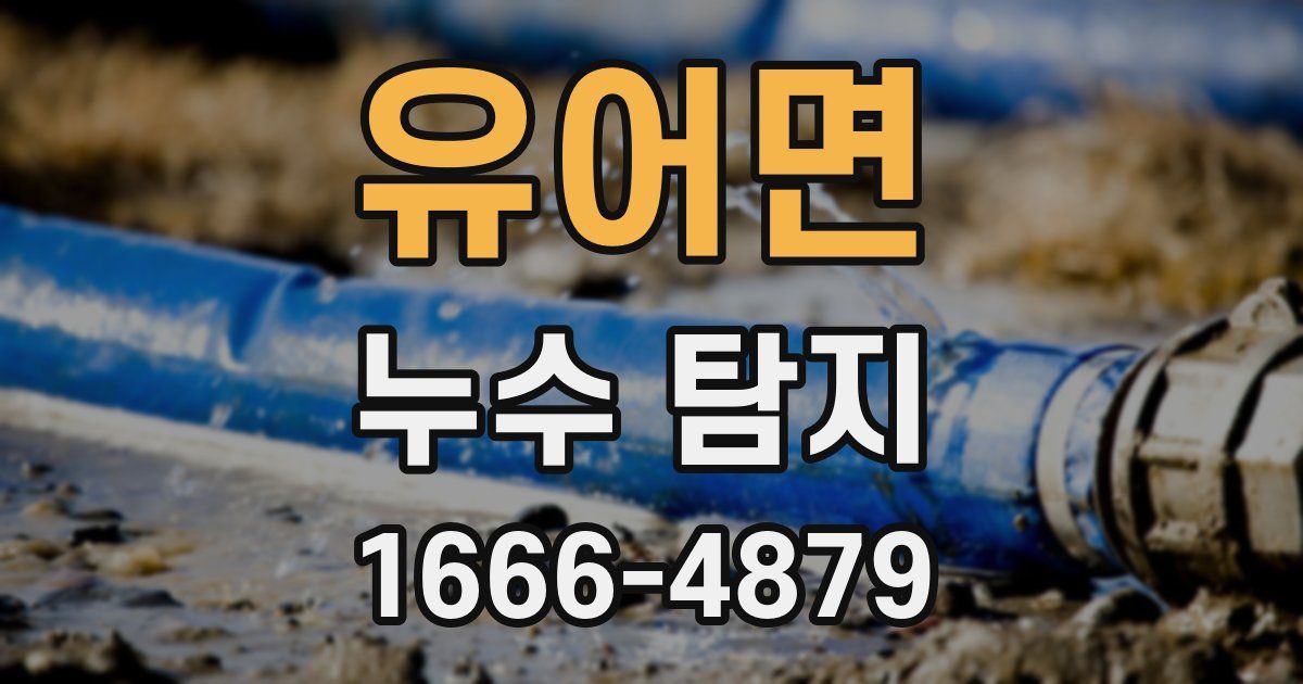 유어면 누수 탐지