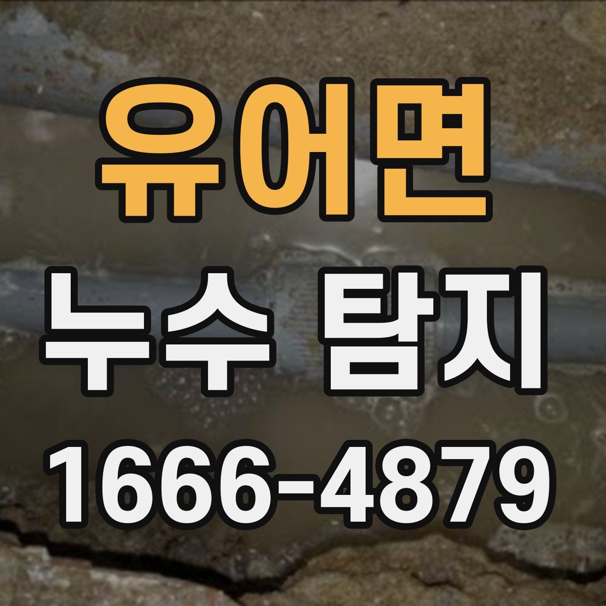 유어면 누수 탐지