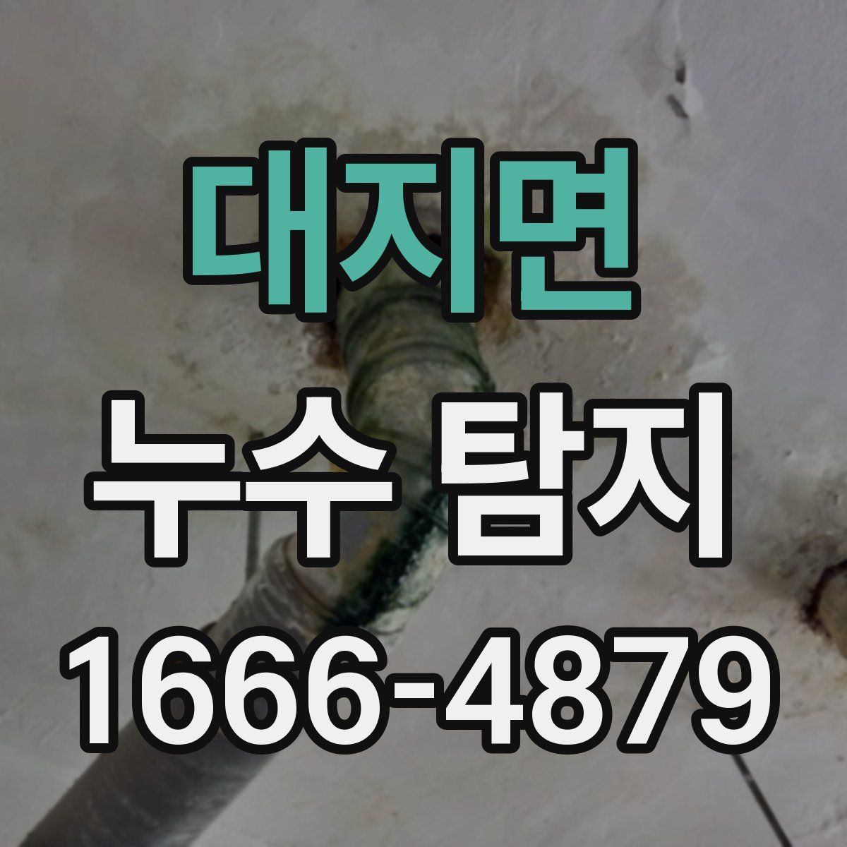 대지면 누수 탐지