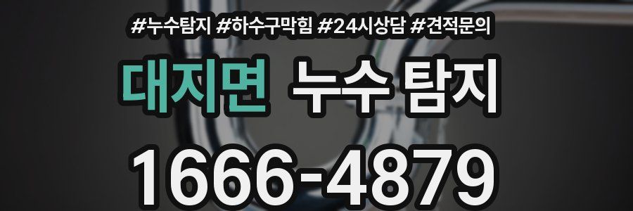 대지면 누수 탐지
