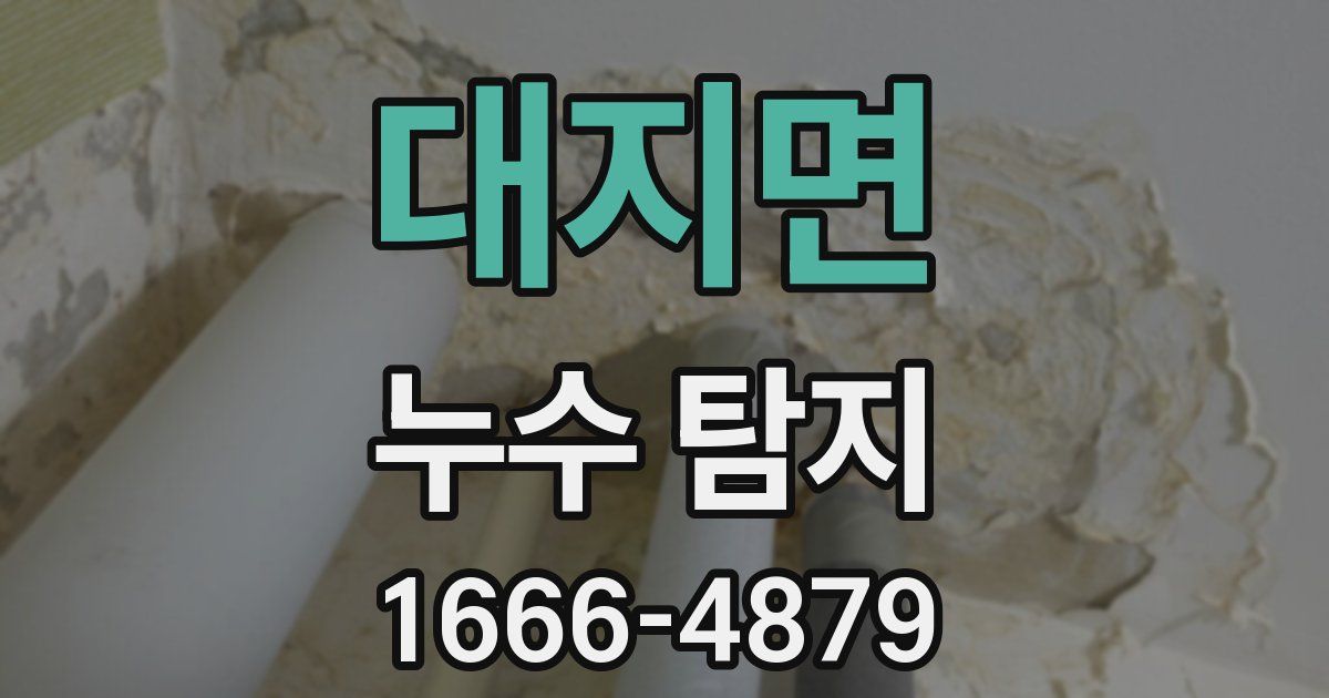 대지면 누수 탐지