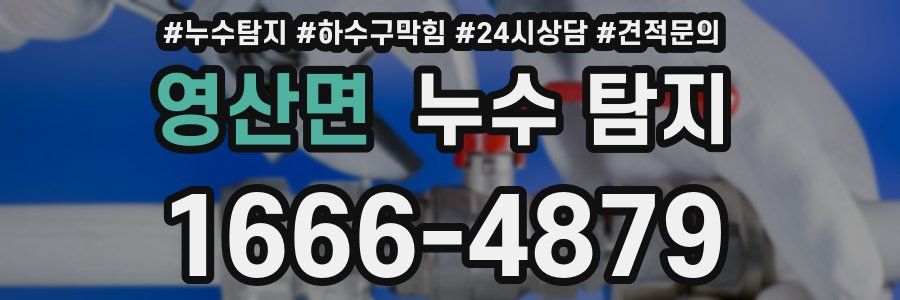 영산면 누수 탐지