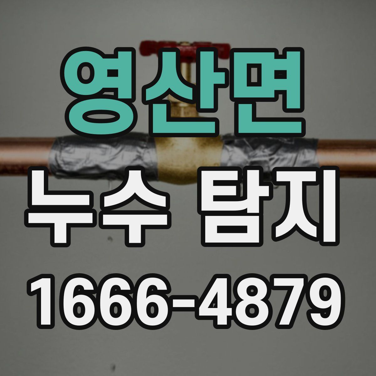 영산면 누수 탐지