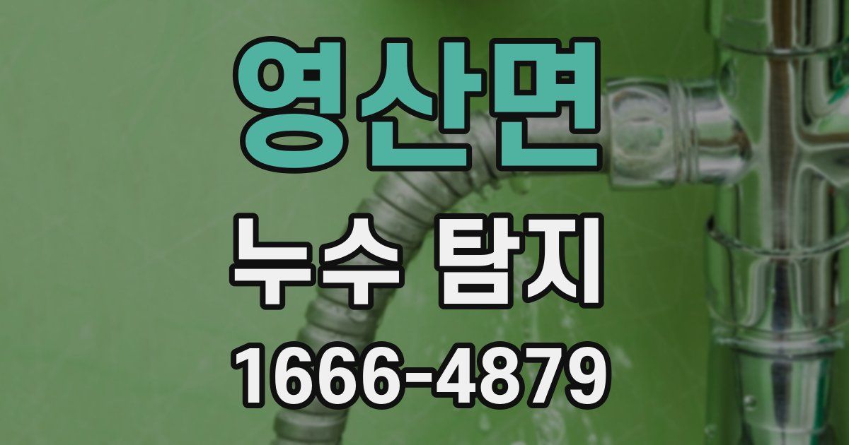 영산면 누수 탐지