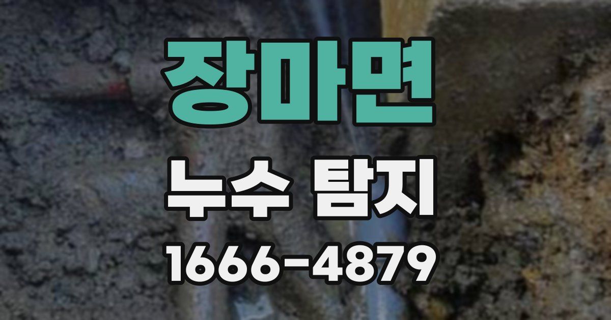 장마면 누수 탐지