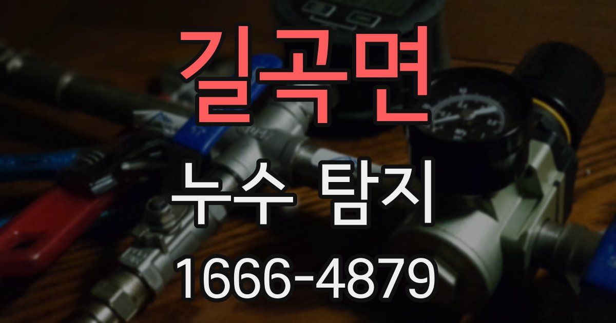 길곡면 누수 탐지
