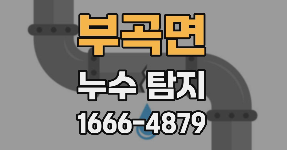 부곡면 누수 탐지