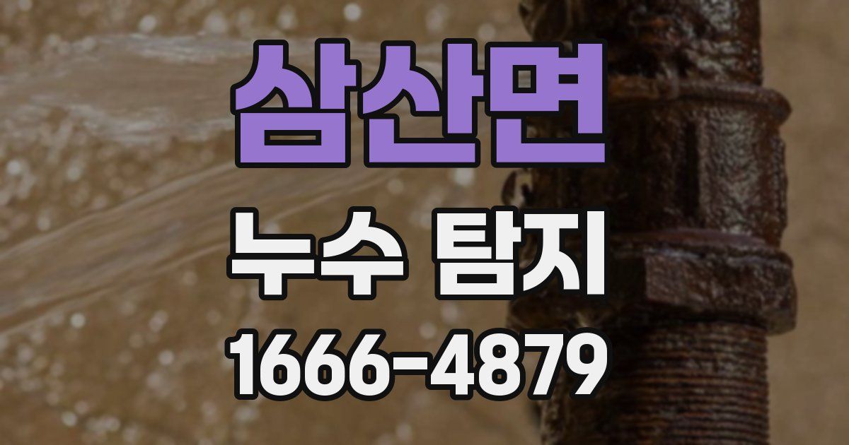삼산면 누수 탐지