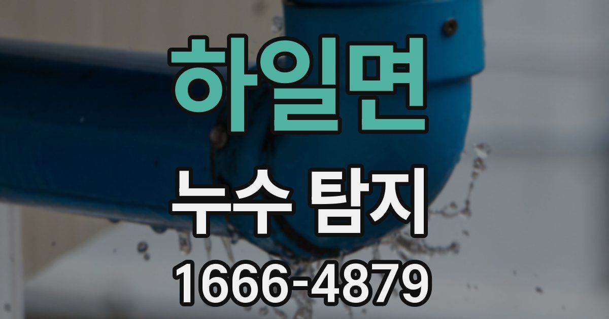 하일면 누수 탐지