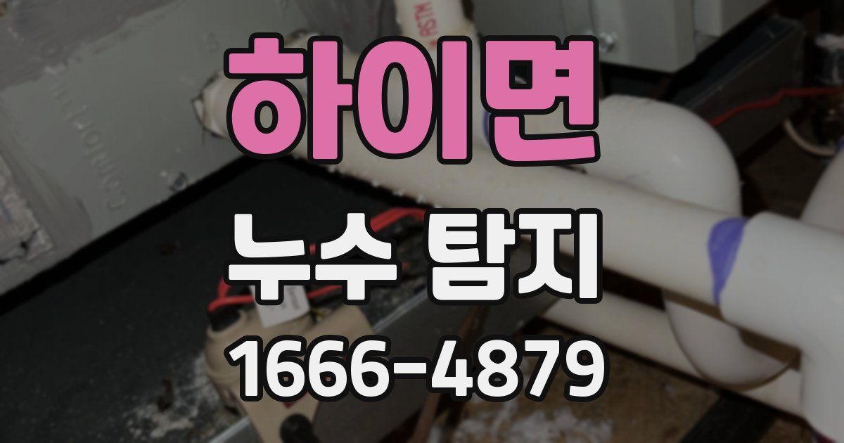 하이면 누수 탐지