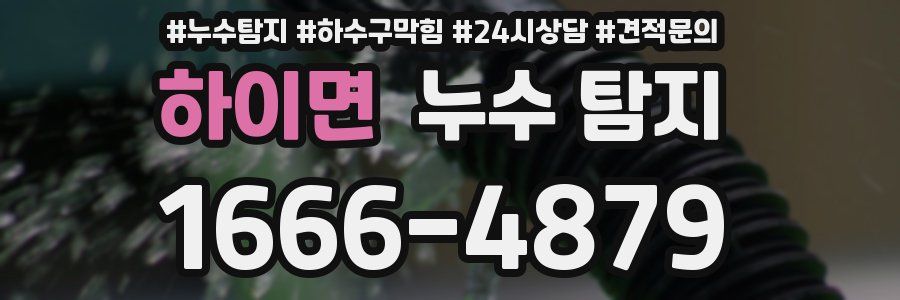 하이면 누수 탐지