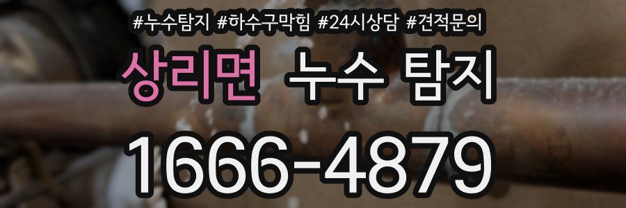 상리면 누수 탐지