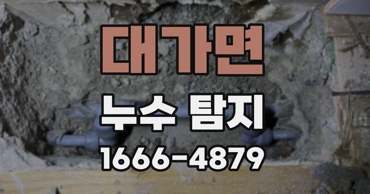 대가면 누수 탐지