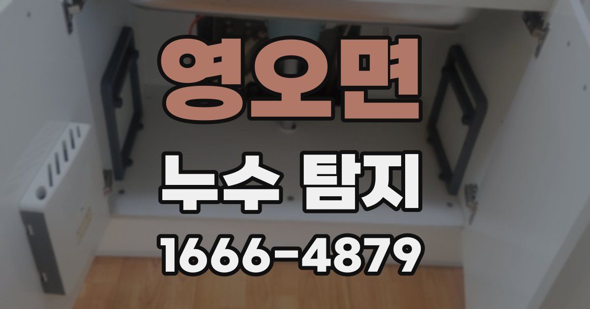 영오면 누수 탐지